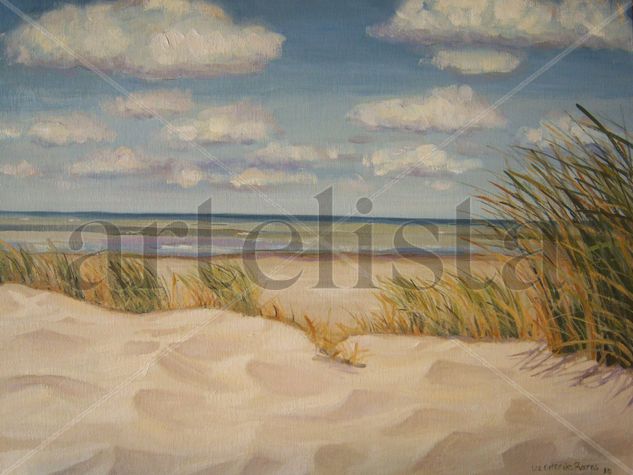 medanos Oil Canvas Landscaping