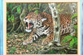 "JAGUAR EN DEFENSA"