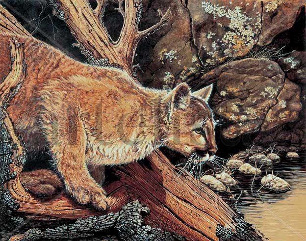 " PUMA JOVEN AL ASECHO" Acrílico Cartulina Animales