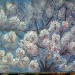flores thumbnail 1