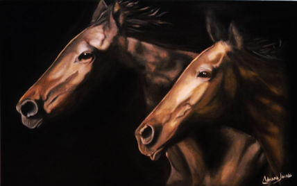 Caballos arabes