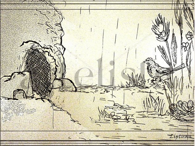 Pájaro buscando refugio