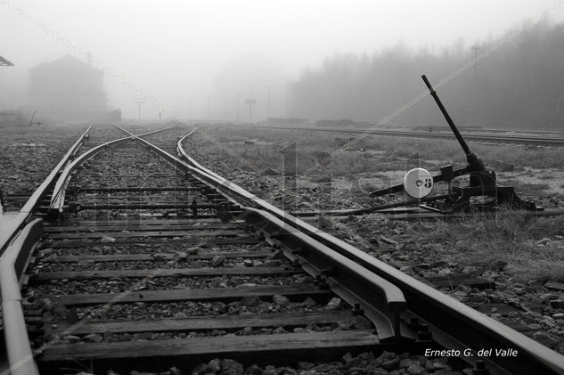 Estación de Ferrocarril Arquitectura e interiorismo Blanco y Negro (Digital)