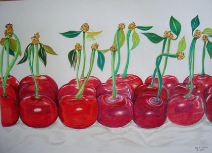 Cerezas