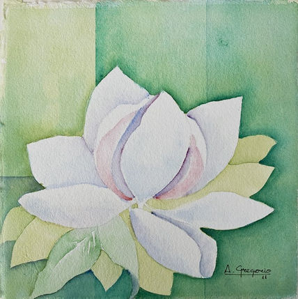 Magnolia