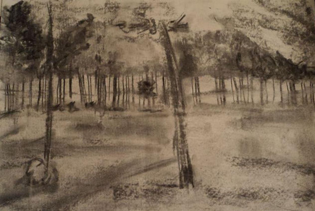 bosque