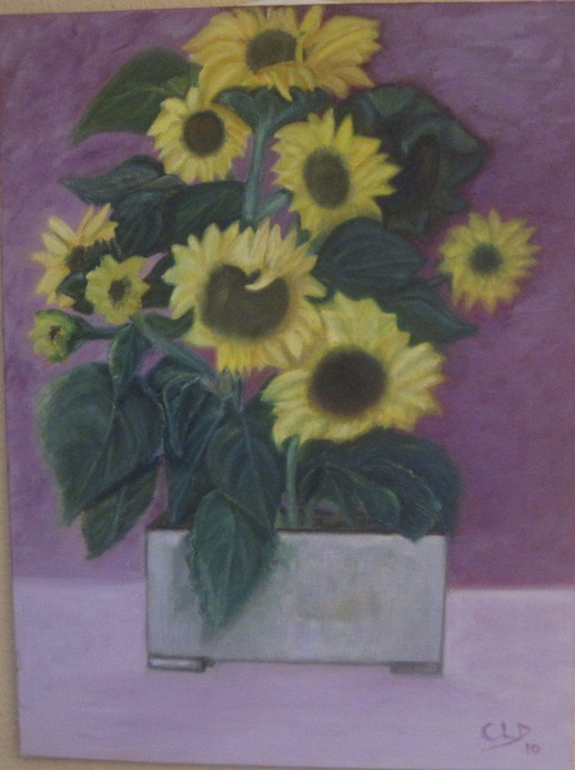 MIS GIRASOLES