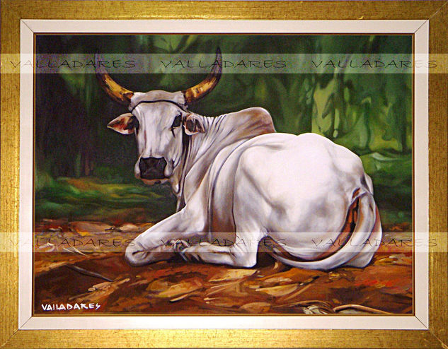 Buey Oil Canvas Animals