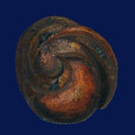 Terracota thumbnail 1