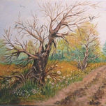 Àrboles thumbnail 2