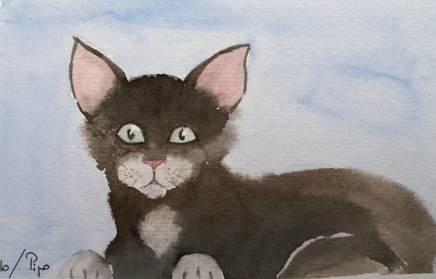 gatito negro Watercolour Paper Animals