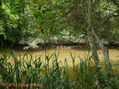 ORILLA DEL ARROYO 1