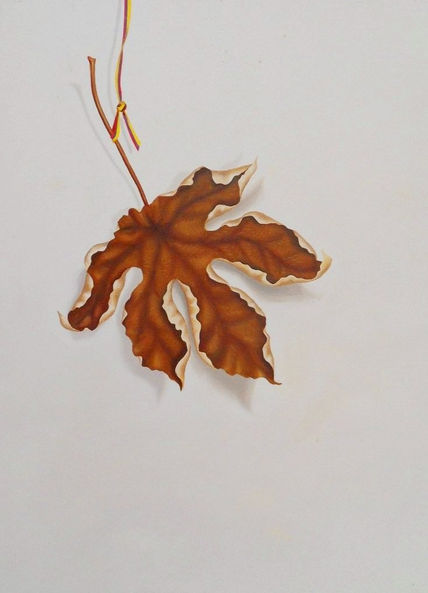 Hoja de yarumo