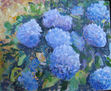 Hortensias azules