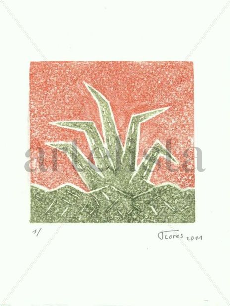 Agave verde