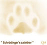 " EL CATÉTER DE SCHRÖDINGER " © Q#