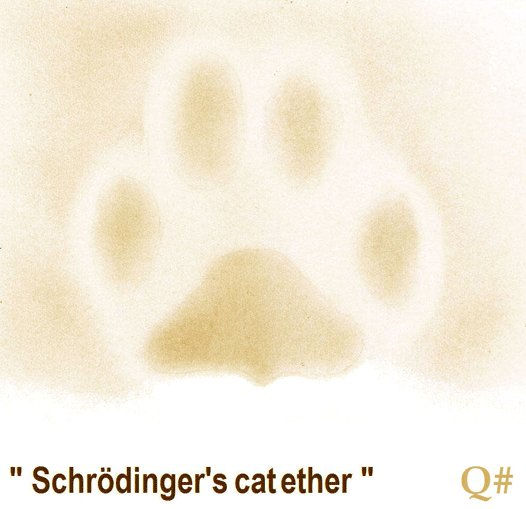 " EL CATÉTER DE SCHRÖDINGER " © Q# 