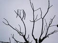 NATURALEZA