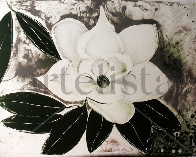 MAGNOLIA