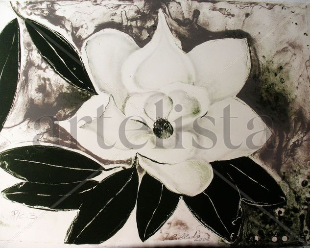 MAGNOLIA 