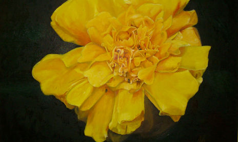 Flores