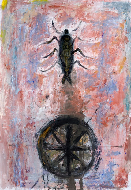 Insecto y Rueda...