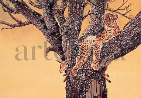 Leopardo