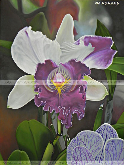 "Orquidea Suramericana" Oil Canvas Floral Painting