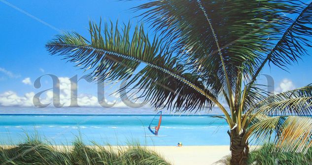 Cayo coco Acrylic Canvas Landscaping