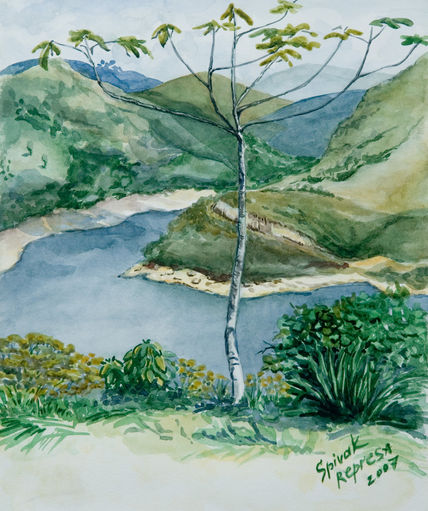 Represa
