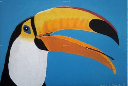 Tucan brasileño