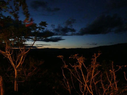 Atardecer en la selva