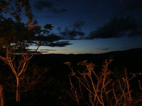 Atardecer en la selva