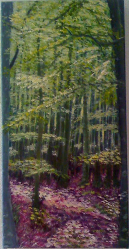 Bosque cerrado