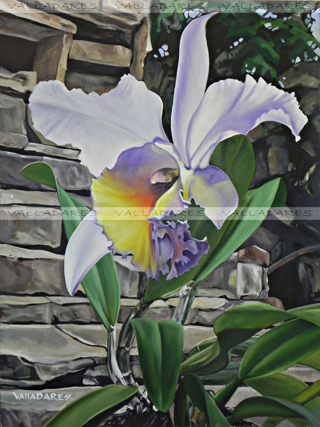"La orquidea de Yolanda"