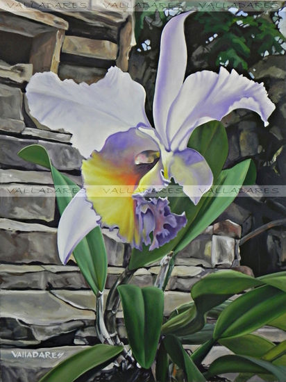 "La orquidea de Yolanda" Oil Canvas Floral Painting