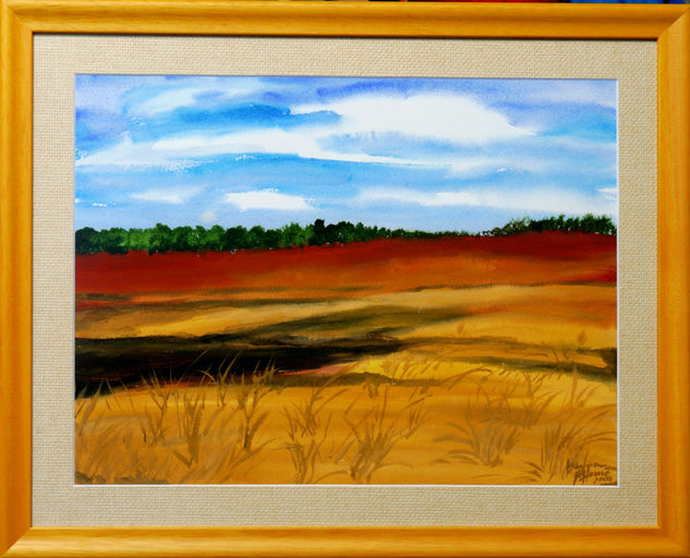 Paisagem de Araxá Oil Canvas Landscaping