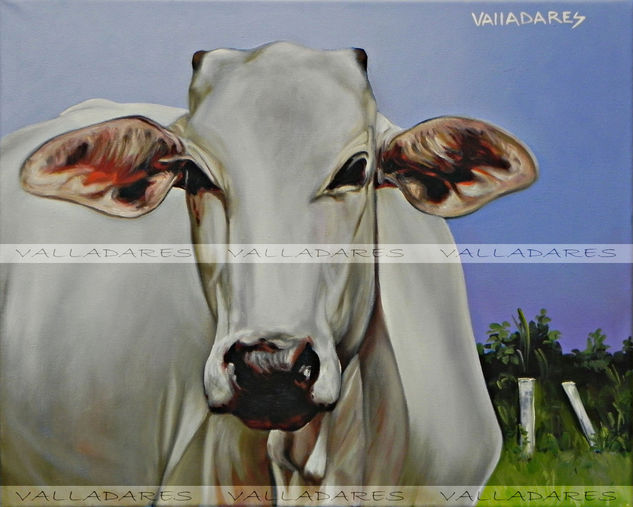 Vaca Oil Canvas Animals