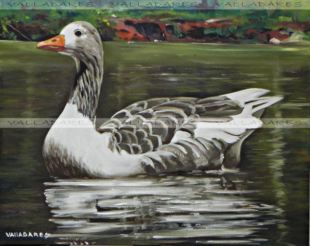 Patito Oil Canvas Animals