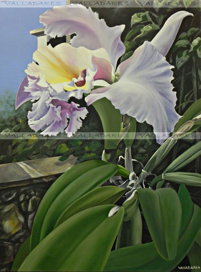 Orquidea Oil Canvas Floral Painting