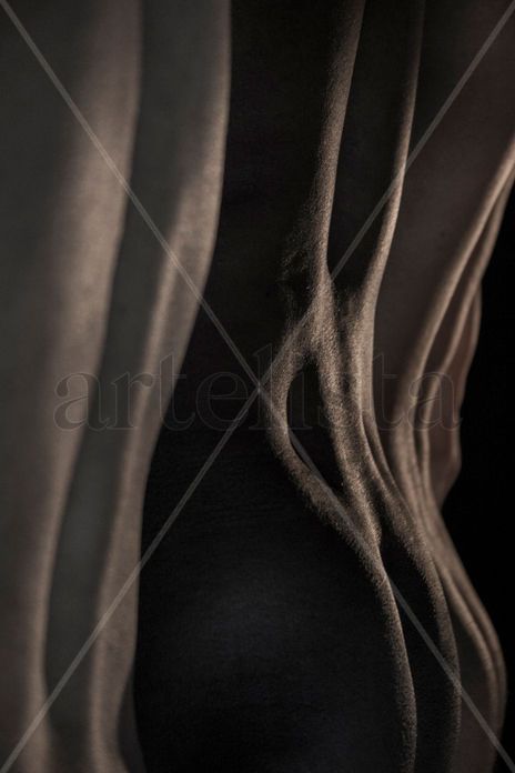 Shapes