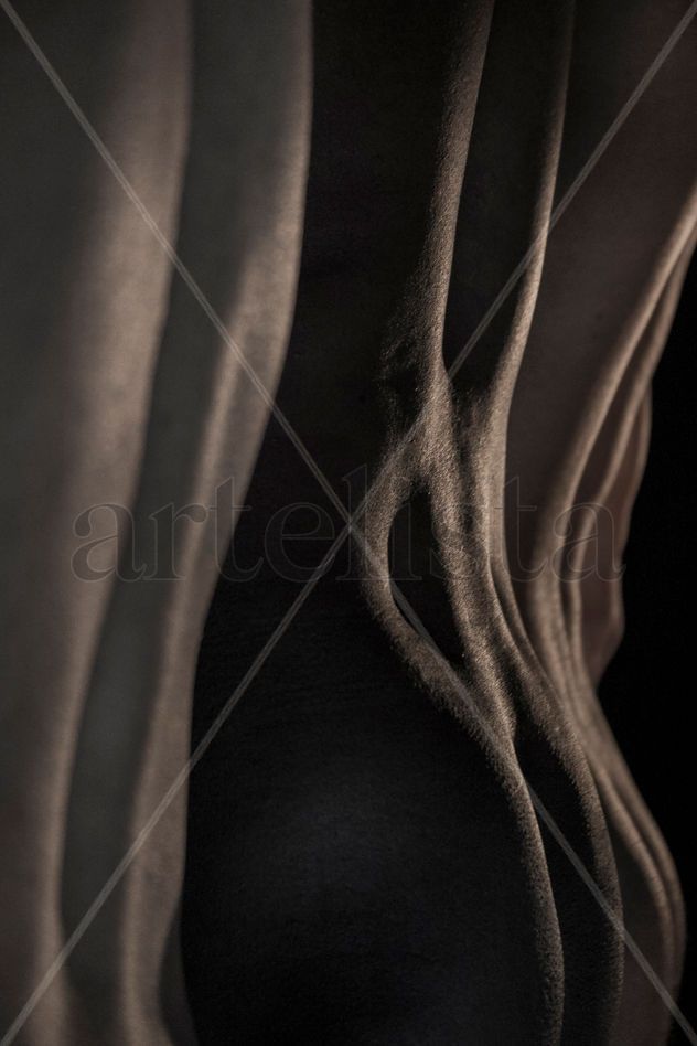 Shapes