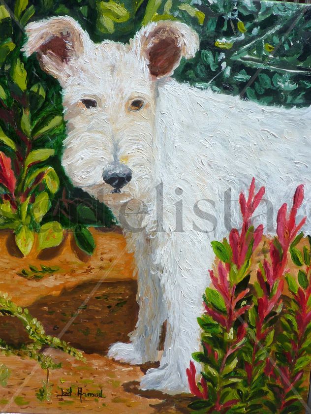 lay  ( mejor  foto  de la pintura )