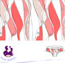 ilustracion