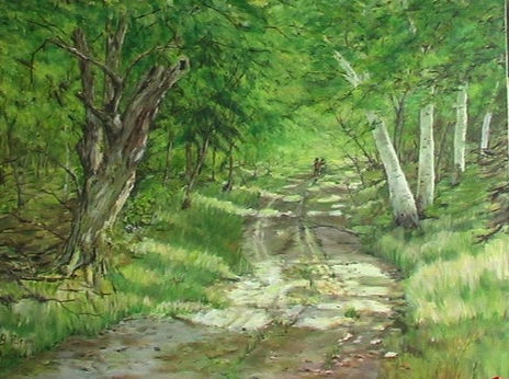 Paseando por el bosque