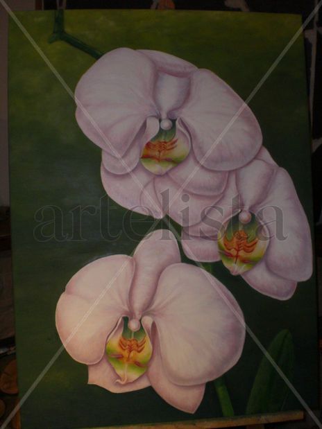Orquideas