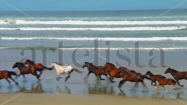 Carrera a la libertad 