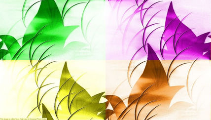 Despertando en colores