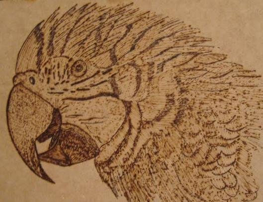 ARARA