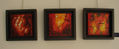 Serie "Simbiosis"